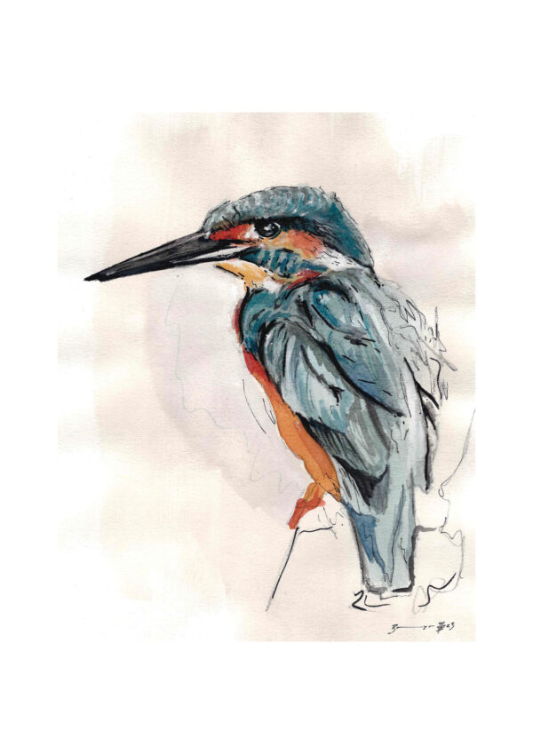 Eisvogel - Kunstdruck