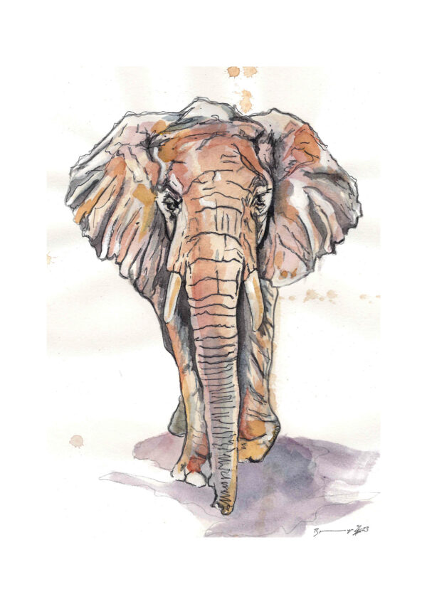 Elefant - Kunstdruck