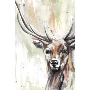 Aquarell Hirsch