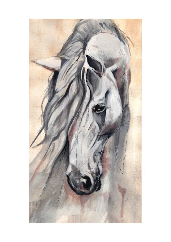 Pferd "Schimmel" - Kunstdruck