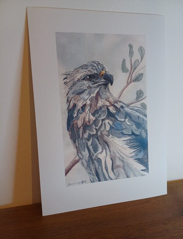Habicht - Kunstdruck – Bild 2