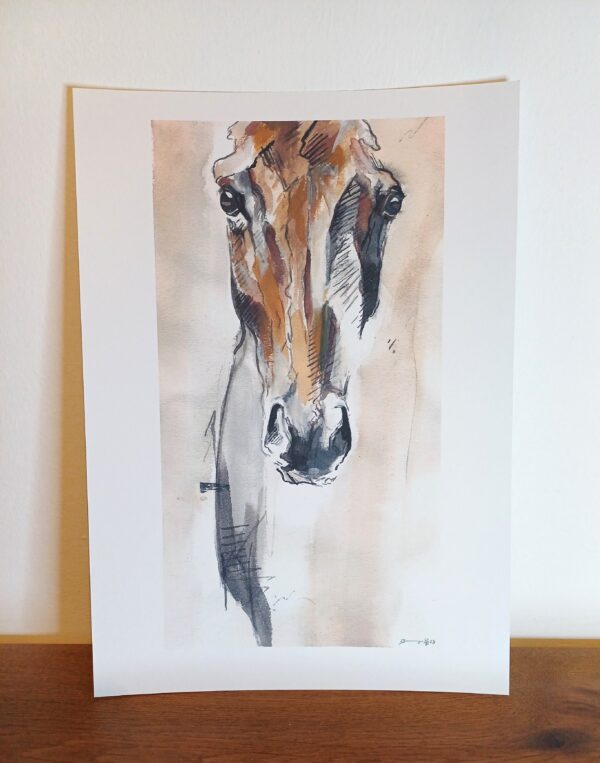 Pferd - Kunstdruck